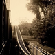 Image for article titled Shooting Challenge: Cellphone Gallery Part 6